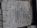 image number DSC_1230